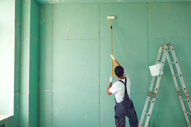 Best Mold Removal for HVAC Installations  in Rolla, MO