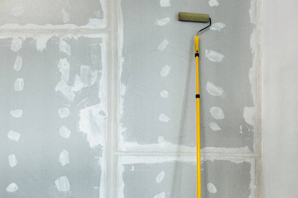 Mold Odor Removal Services in Rolla, MO
