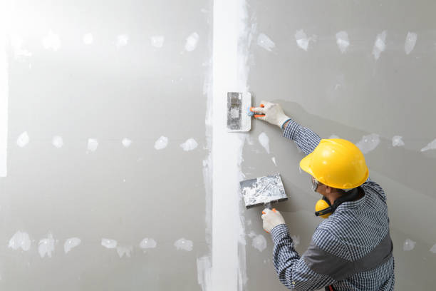 Best Post-Remediation Verification Testing  in Rolla, MO