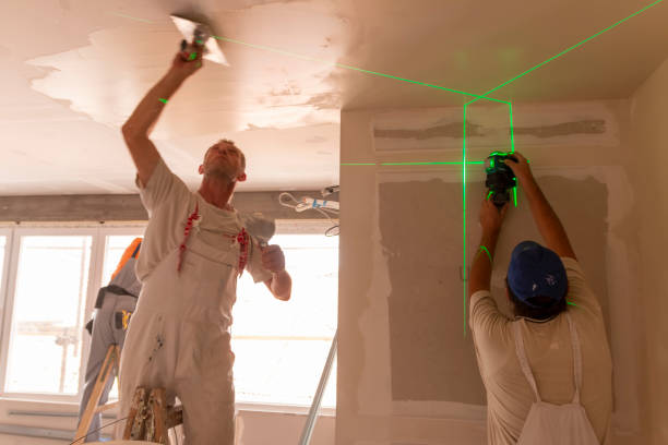 Best Water Damage & Mold Remediation  in Rolla, MO