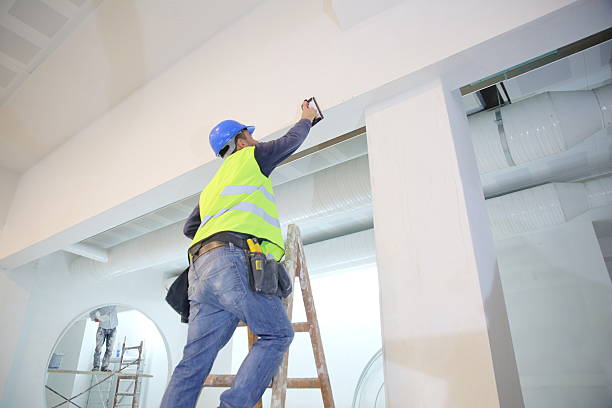 Best Crawl Space Mold Remediation  in Rolla, MO
