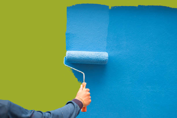 Best Mold Documentation for Insurance Claims  in Rolla, MO
