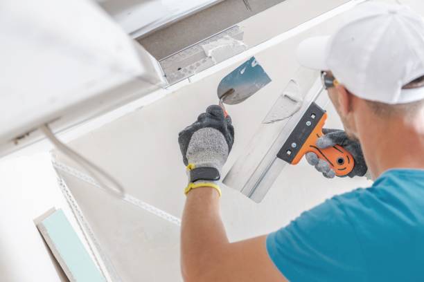 Best Commercial Mold Inspection  in Rolla, MO
